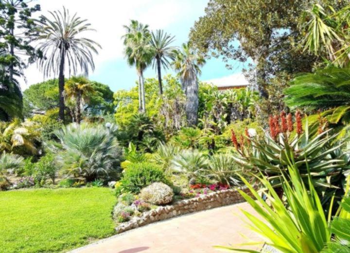 Ampio Appartamento Centrale San Remo Buitenkant foto